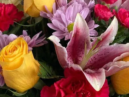 Chakra Mantras: Bīja (Seed) Sounds For The Seven Chakras