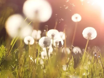 Chakra Practice For Feeling Grounded & Empowered