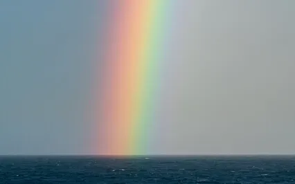 Chakra Meditation And Healing With Flower