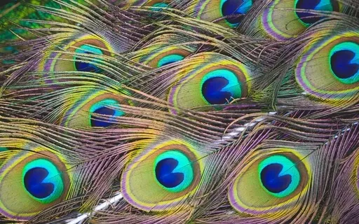 Chakra Meditation: Balance, Align & Harmonize Your 7 Chakras