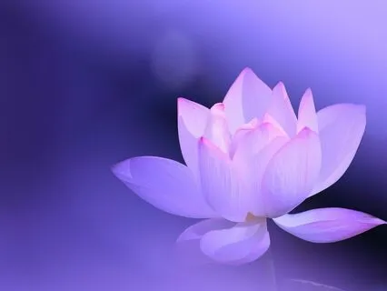 Chakra Meditation Series - Ajna/3rd Eye Chakra