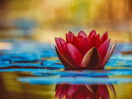 Chakra Meditation Series - Svadhisthana/Sacral Chakra