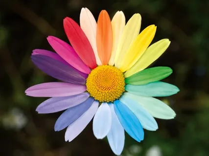 Chakra Meditation Sound For All 7 Chakras