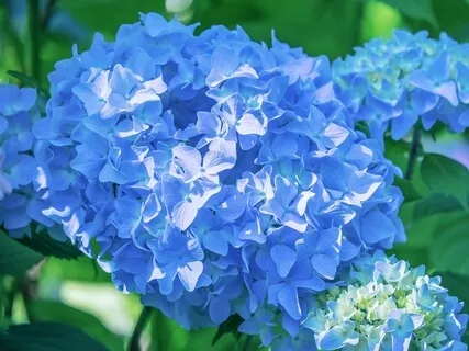 Chakra Meditation Sound For Fifth Chakra