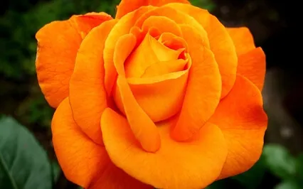 Chakra Meditation Sound For The 2nd Chakra (Deep Version)