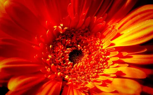 Chakra Meditation Sound For The 2nd Chakra(LongDeepVersion)