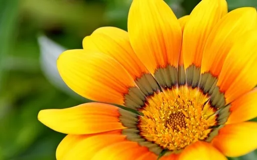 Chakra Meditation Sound For The 3rd Chakra (Deep Version)