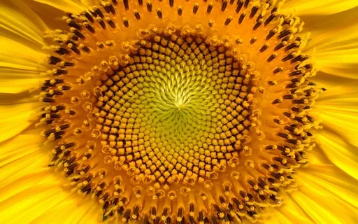 Chakra Meditation Sound For The 3rd Chakra( Long Deep Version)