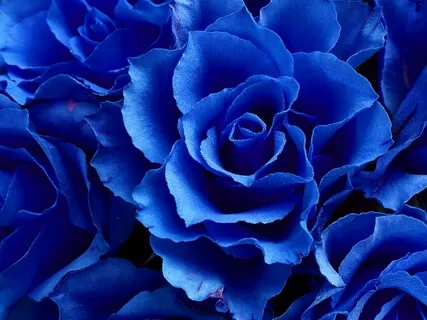 Chakra Meditation Sound For The 6th Chakra(Third Eye)