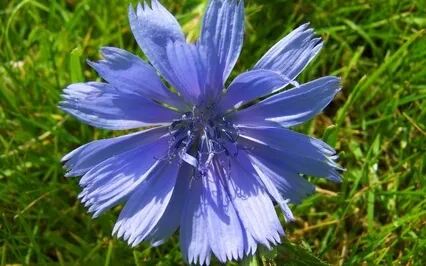 Chakra Meditation Sound For The Fifth Chakra (Deep Version)