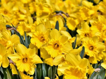 Chakra Meditation Sound For Third Chakra