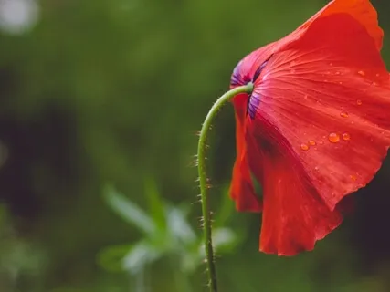 Chakra Practice With Soft Sound
