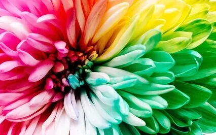 Chakra Opening Meditation