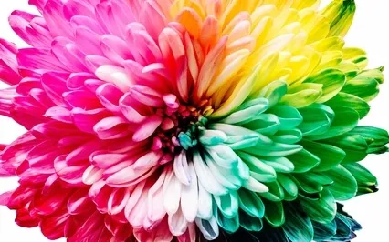 Chakra Opening Visualisation