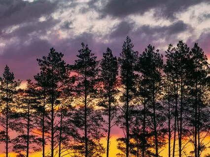 Chakra Peace: Balanced Calm