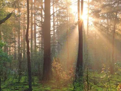 Chakra Opening: Release Worry, Awaken Power