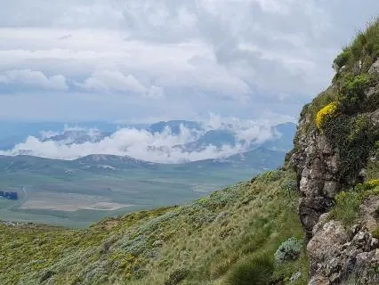 Chakra Shuddhi - Purifying The Chakras