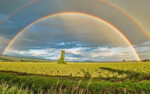 Chakra Spinning And Rainbow Dragon Blessings