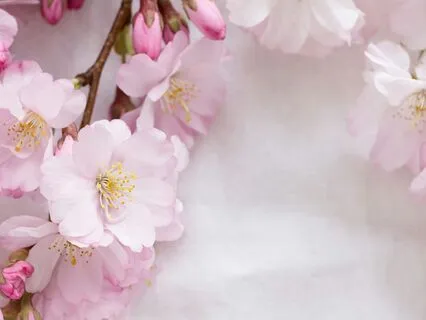 Chakra Visualisation | Yoga Nidra