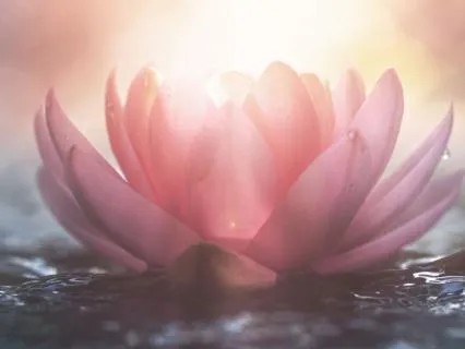 Chakra Wind Down: An Evening Sound Bath