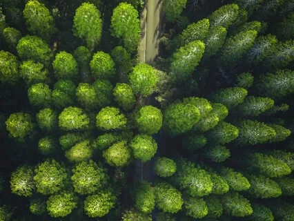 Chakras Balancing Anahata Sound Bath