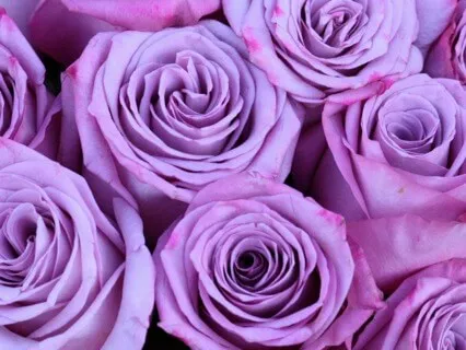 Chakras Balancing Sahasrara Sound Bath