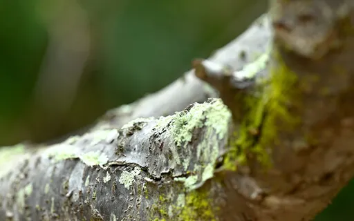 Challenge Your Narrative