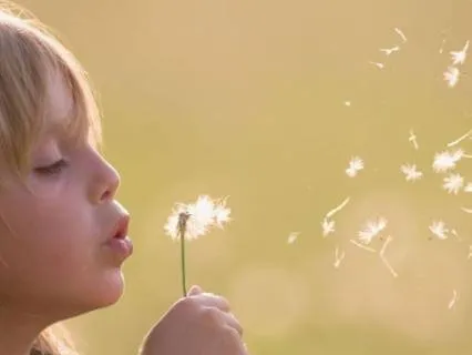 Challenging Winds Can Strengthen Your Roots (Jan 9, 26)