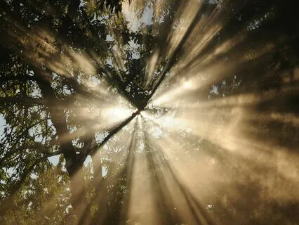 Rest And Recover In The Healing Chamber