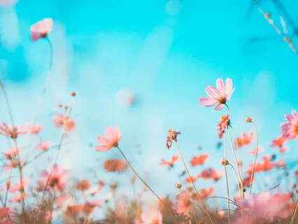 Chandra Bedhana Nadi Soddhana - Breathing Techniques