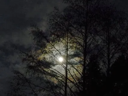 Chandra Namaskar For Deep Sleep