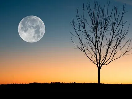 Chandra Namaskar - The Moon Salutation (Gentle Version)