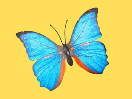 Change And Transformation