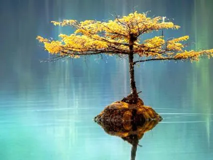 Change Can Be A Light Thing