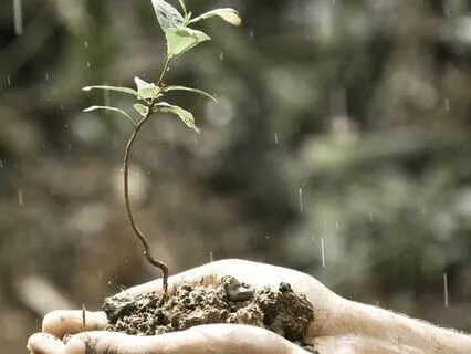 Change - From Mother Earth