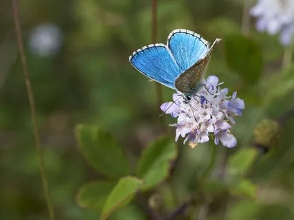 Change – From The Perspective Of An Eleven-Year-Old