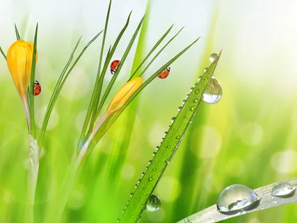 Change How You Feel Using Your Breath