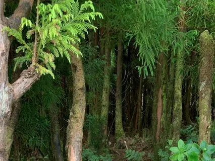 Change Is Inevitable