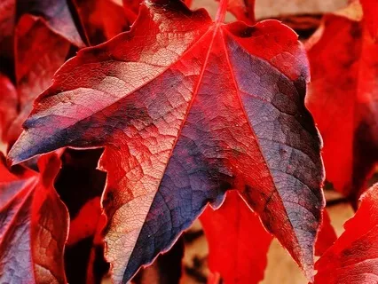 Change Is Necessary For Change To Happen