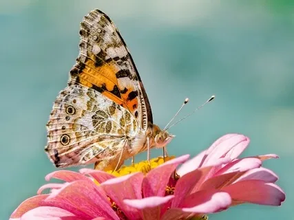 Change Is The Only Constant - Reality Check Podcast #178