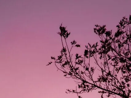 Change: Seeing Impermanence