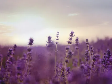 Change Your Breath, Change Your Mind