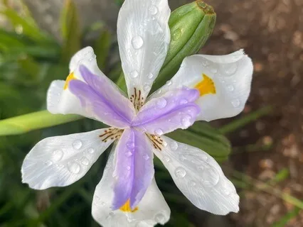 Change your Energy, Change your Life!