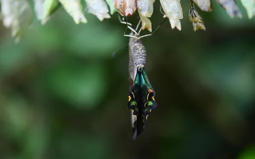 Change Your Life From The Inside Out | The Alchemist 