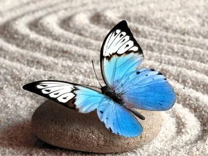 Change Your Mind Change Your Reality