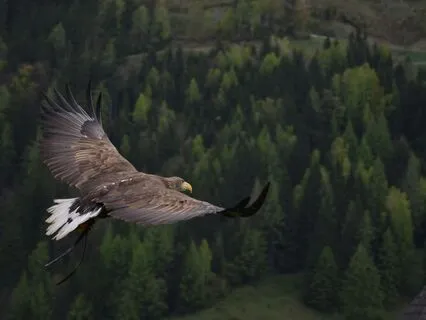 Change Your Past & Change Your Future - Timeline Jumping