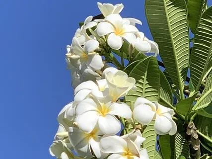 Changes, And How To Deal With Them