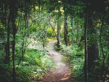 Changing A Habit Catnap