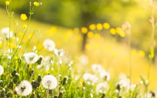 Changing Earth Yoga Nidra