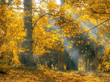 Changing Ourselves Instead Of Putting Out Fires